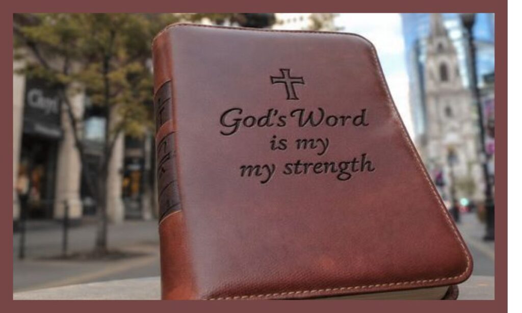 Personalized Bible Cover