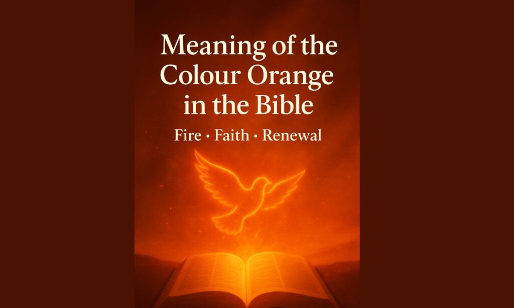 Spiritual Meaning of Orange in the Bible
